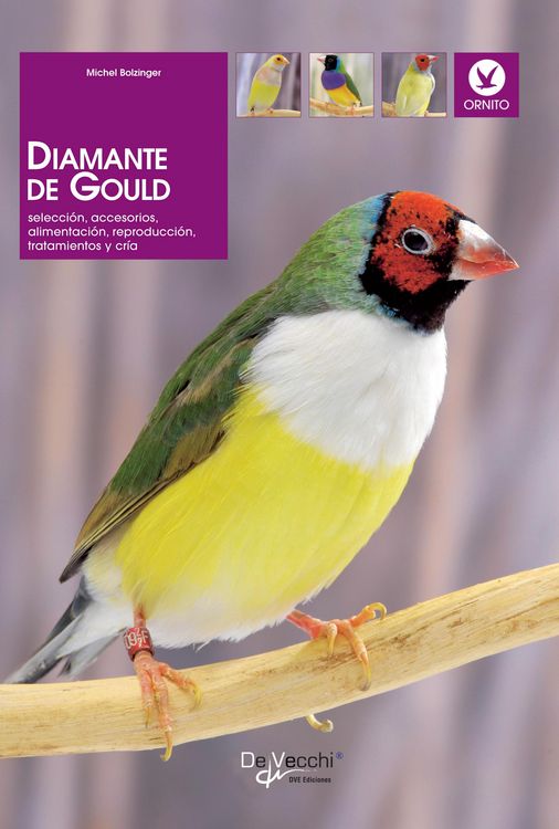 Produktbild: Diamante de Gould