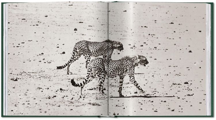 Produktbild: Peter Beard