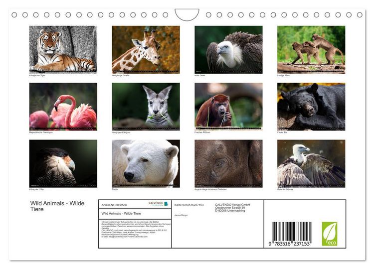 Produktbild: Wild Animals - Wilde Tiere (Wandkalender 2026 DIN A4 quer), CALVENDO Monatskalender