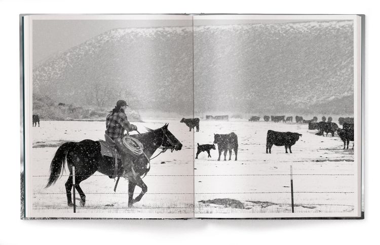 Produktbild: A Ranch Year