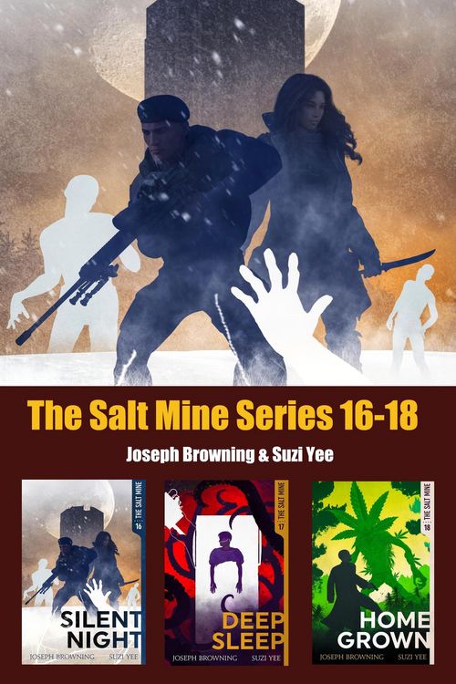 Produktbild: The Salt Mine Boxed Set 16-18