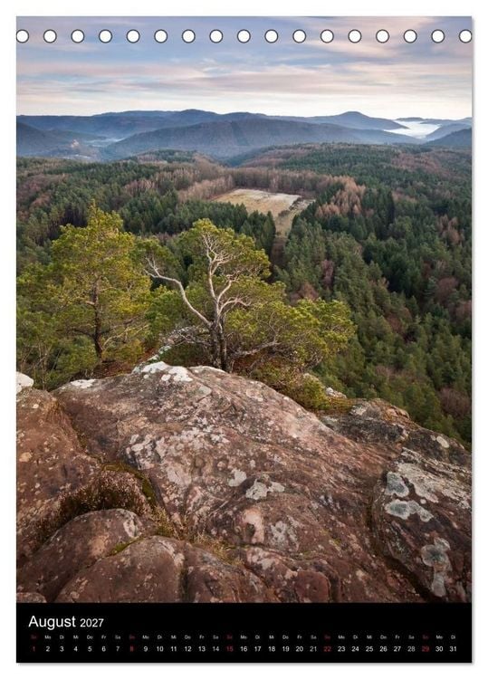 Produktbild: NATURWUNDER PF&Auml;LZERWALD (Tischkalender 2027 DIN A5 hoch), CALVENDO Monatskalender