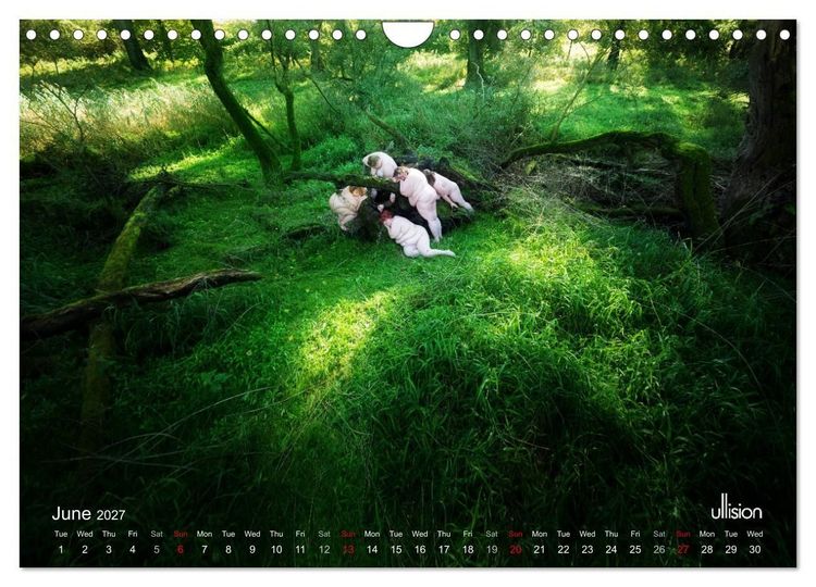 Produktbild: Mothers of earth- life can be so voluptuous (Wall Calendar 2027 DIN A4 landscape), CALVENDO 12 Month Wall Calendar