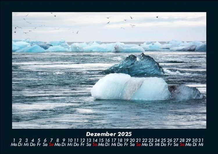 Produktbild: V&ouml;gel 2025 Fotokalender DIN A5