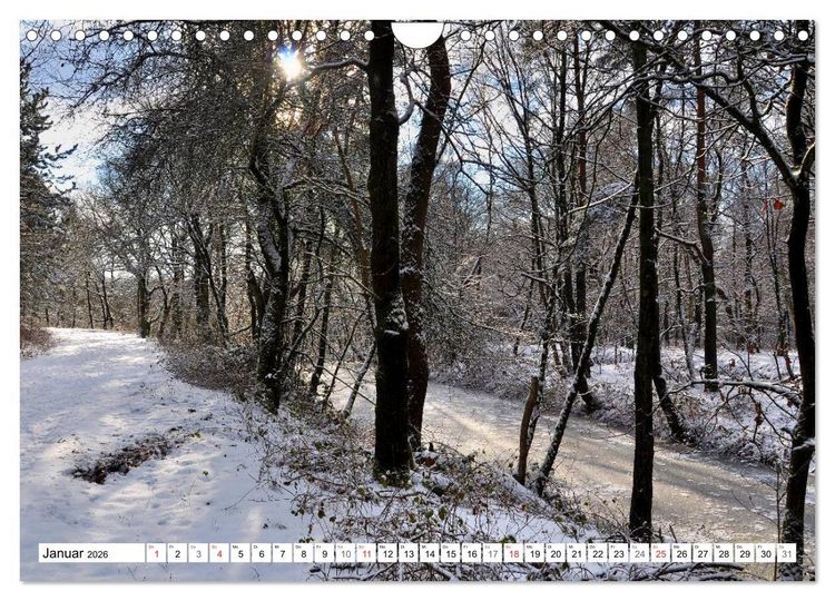 Produktbild: Wege gehen... (Wandkalender 2026 DIN A4 quer), CALVENDO Monatskalender
