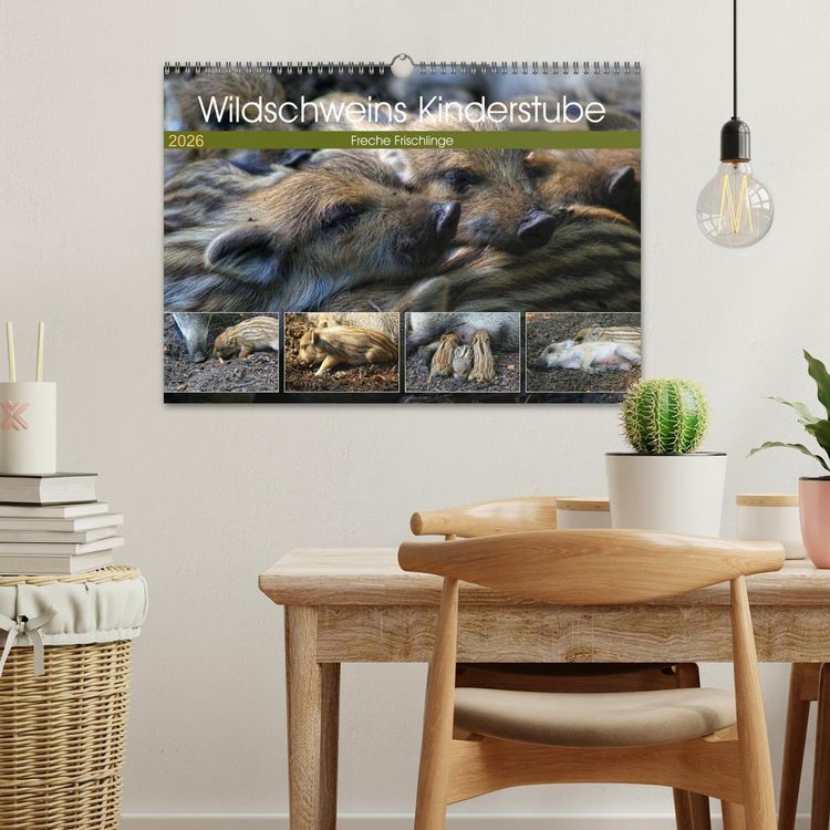 Produktbild: Wildschweins Kinderstube - Freche Frischlinge (Wandkalender 2026 DIN A3 quer), CALVENDO Monatskalender