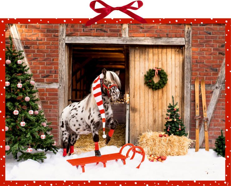 Produktbild: Wandkalender &ndash; Dotti feiert Weihnachten