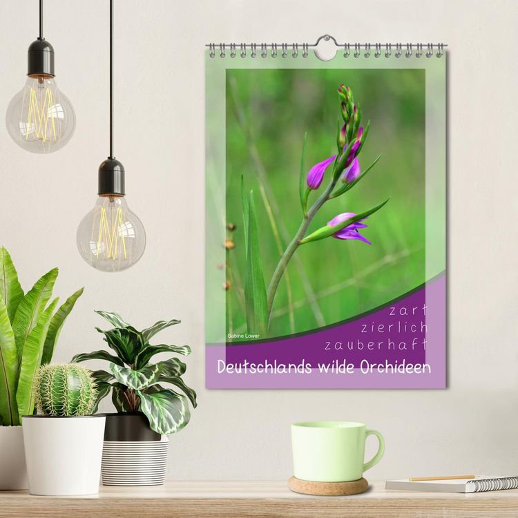 Produktbild: Deutschlands wilde Orchideen (Wandkalender 2026 DIN A4 hoch), CALVENDO Monatskalender