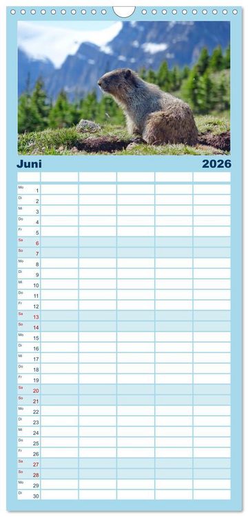 Produktbild: Familienplaner 2026 - Kanadas Westen - Berge und Wasser mit 5 Spalten (Wandkalender, 21 x 45 cm) CALVENDO