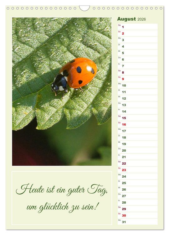 Produktbild: Marienk&auml;fer, Gl&uuml;cksbringer mit sieben Punkten (Wandkalender 2026 DIN A3 hoch), CALVENDO Monatskalender