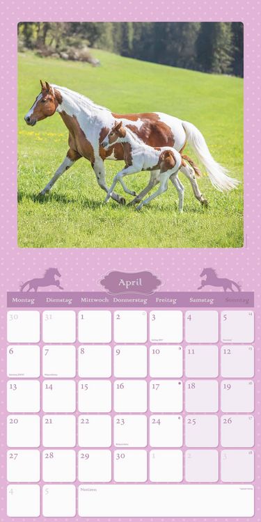 Mein Pferdekalender 2026 - Broschürenkalender 30x30 cm (30x60 geöffnet) - Kalender mit Platz für Notizen - Bildkalender - Wandplaner - Wandkalender