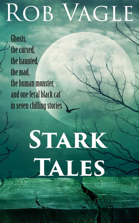 Produktbild: Stark Tales