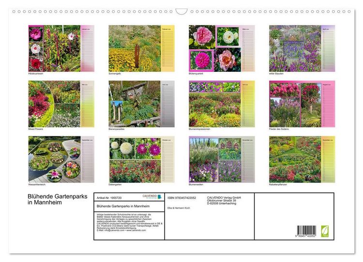 Produktbild: Bl&uuml;hende Gartenparks in Mannheim (Wandkalender 2026 DIN A2 quer), CALVENDO Monatskalender