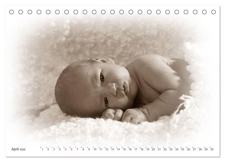 Produktbild: Babys - Willkommen im Leben (Tischkalender 2026 DIN A5 quer), CALVENDO Monatskalender