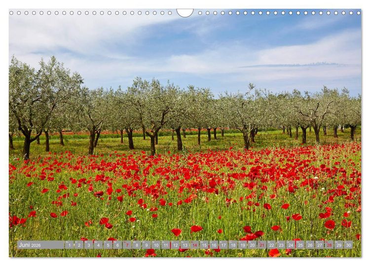 Produktbild: ISTRIEN (Wandkalender 2026 DIN A3 quer), CALVENDO Monatskalender