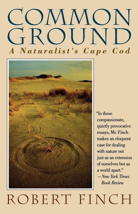 Produktbild: Common Ground