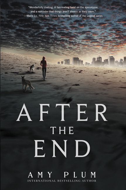 Produktbild: After the End