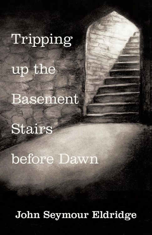 Produktbild: Tripping up the Basement Stairs before Dawn