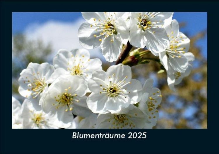 Produktbild: Blumentr&auml;ume 2025 Fotokalender DIN A5