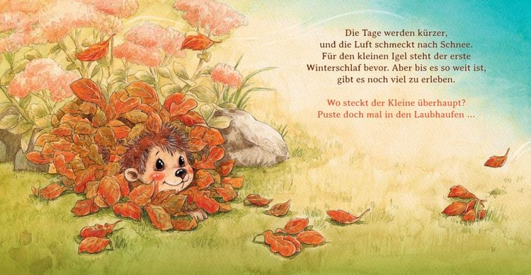 Produktbild: Schlaf sch&ouml;n, kleiner Igel