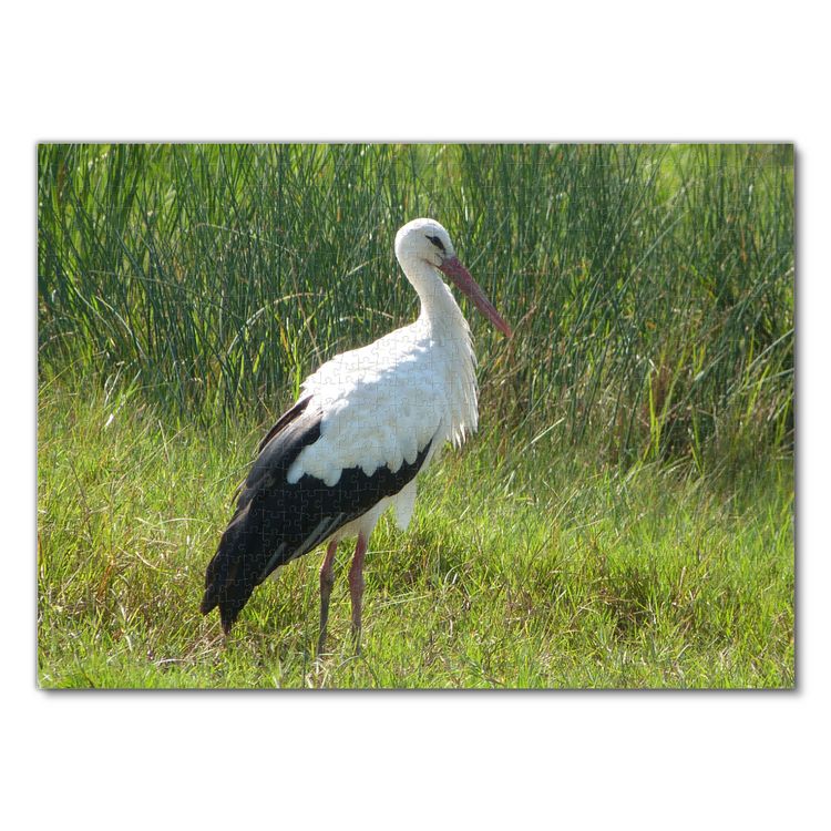 Produktbild: Lais Puzzle Storch 1000 Teile