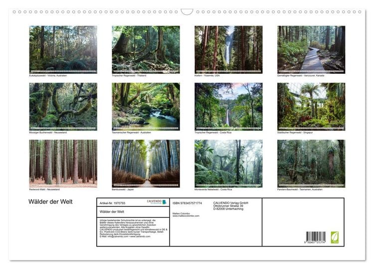 Produktbild: W&auml;lder der Welt (Wandkalender 2026 DIN A2 quer), CALVENDO Monatskalender