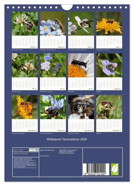 Produktbild: Wildbienen-Terminplaner 2026 (Wandkalender 2026 DIN A4 hoch), CALVENDO Monatskalender