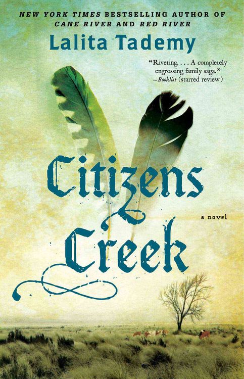 Produktbild: Citizens Creek