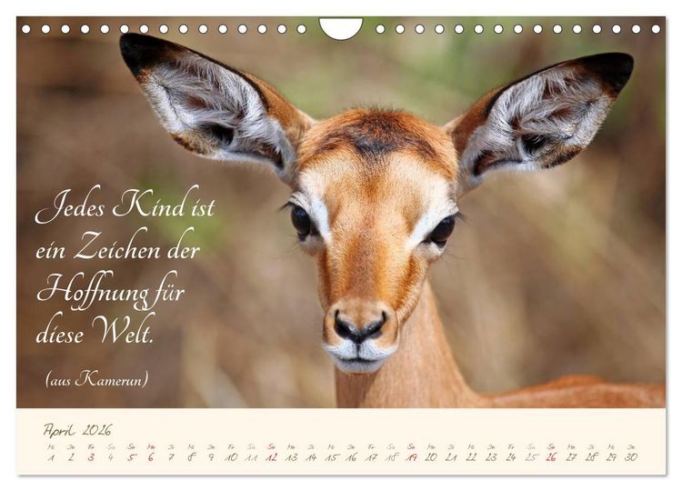 Produktbild: AFRIKA mit einem Hauch von Poesie (Wandkalender 2026 DIN A4 quer), CALVENDO Monatskalender