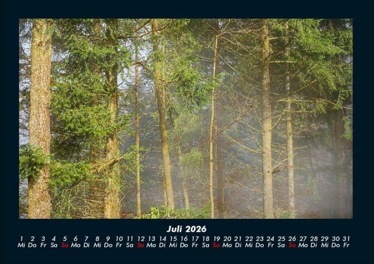Produktbild: Waldzauber 2026 Fotokalender DIN A4