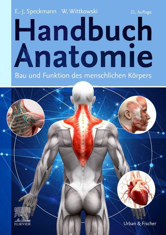 Produktbild: Handbuch Anatomie