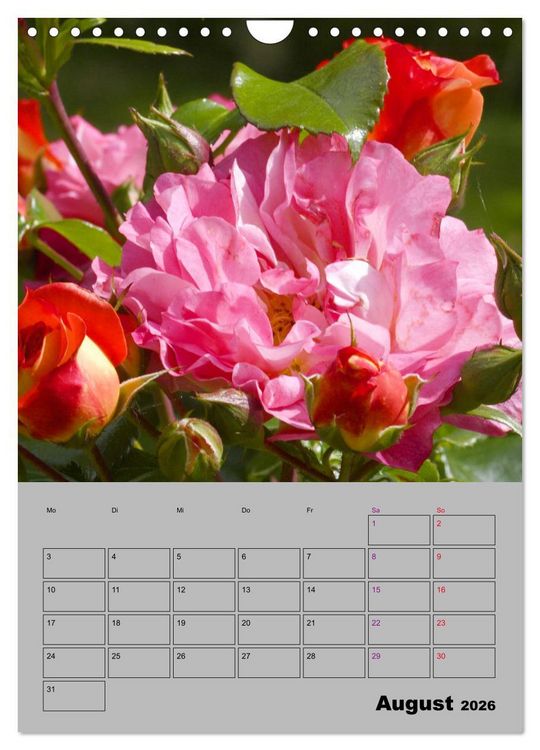 Produktbild: Rosen - Symbol der Liebe und Verehrung (Wandkalender 2026 DIN A4 hoch), CALVENDO Monatskalender