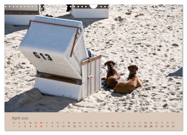 Produktbild: Sylt-Momente (Wandkalender 2026 DIN A3 quer), CALVENDO Monatskalender