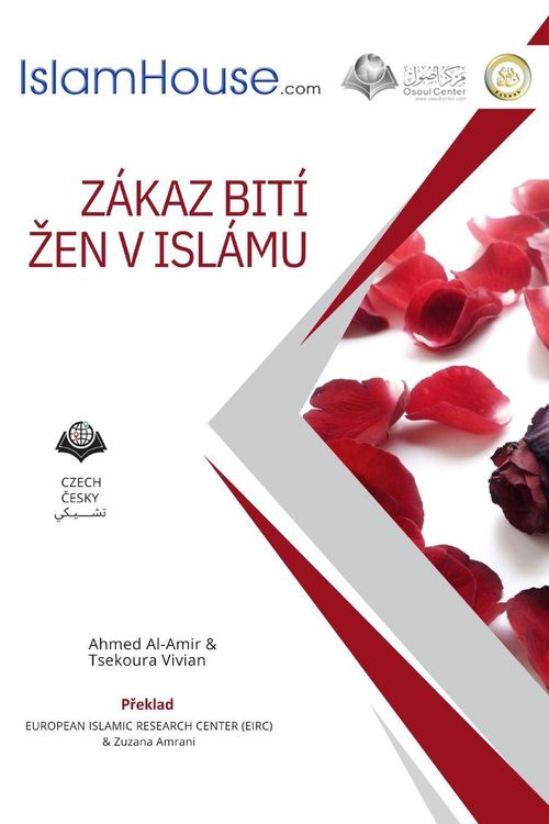 Produktbild: Z&aacute;kaz bit&iacute; &iquest;en v isl&aacute;mu - Beating Women is Forbidden in Islam
