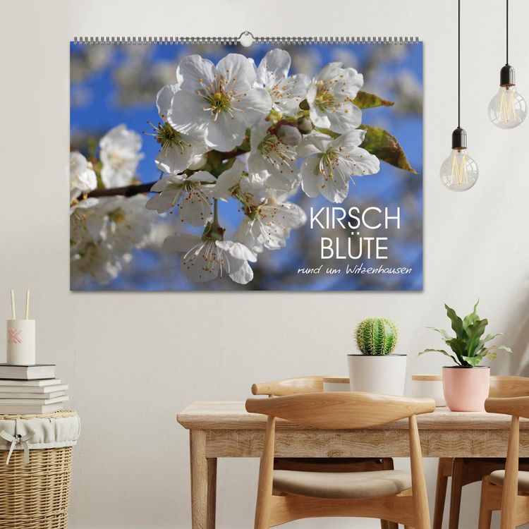 Produktbild: Kirschbl&uuml;te rund um Witzenhausen (Wandkalender 2026 DIN A2 quer), CALVENDO Monatskalender