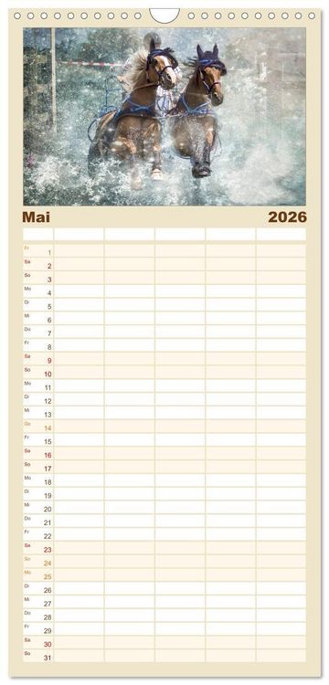 Produktbild: Familienplaner 2026 - Pferde zum Tr&auml;umen mit 5 Spalten (Wandkalender, 21 x 45 cm) CALVENDO