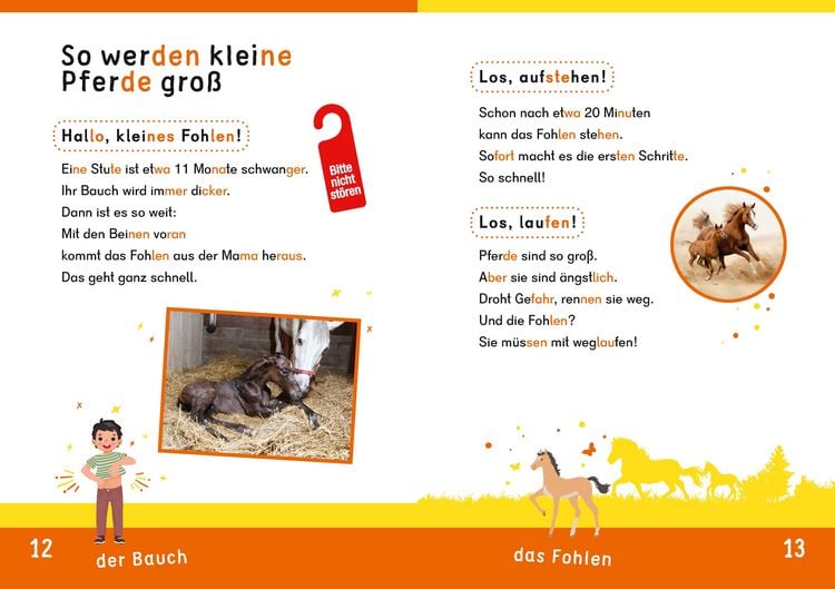 Produktbild: Dein Lesestart: Wei&szlig;t du schon alles &uuml;ber Pferde? Ab 1. Klasse