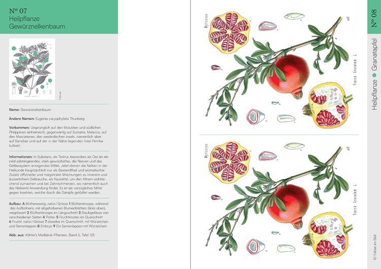 Produktbild: Finde den Fehler &ndash; 50 Botanische Illustrationen