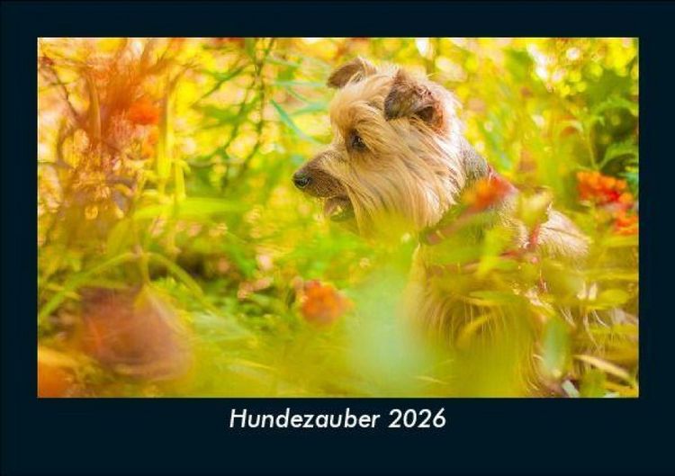 Produktbild: Hundezauber 2026 Fotokalender DIN A5