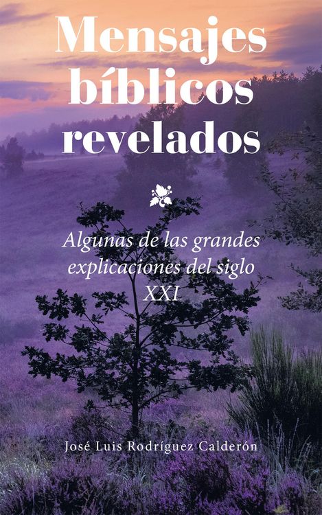 Produktbild: Mensajes B&iacute;blicos Revelados