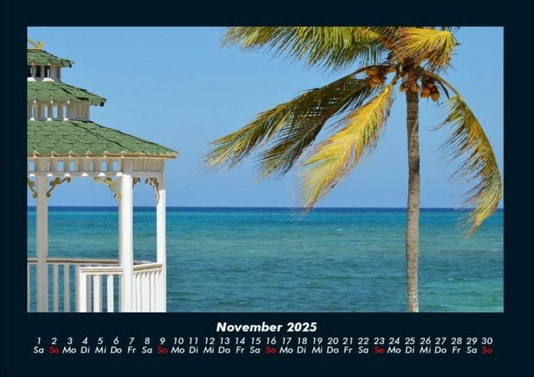 Produktbild: Palmen 2025 Fotokalender DIN A4