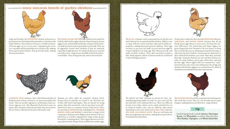 Produktbild: Free-Range Chicken Gardens