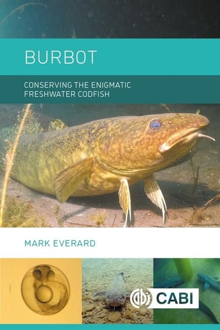 Produktbild: Burbot