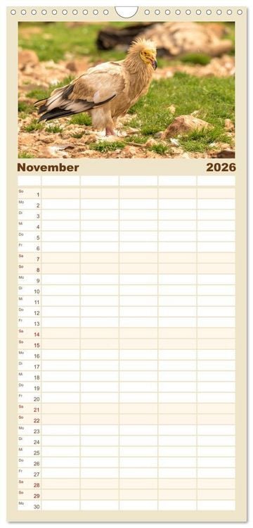 Produktbild: Familienplaner 2026 - Die Geier sind los mit 5 Spalten (Wandkalender, 21 x 45 cm) CALVENDO