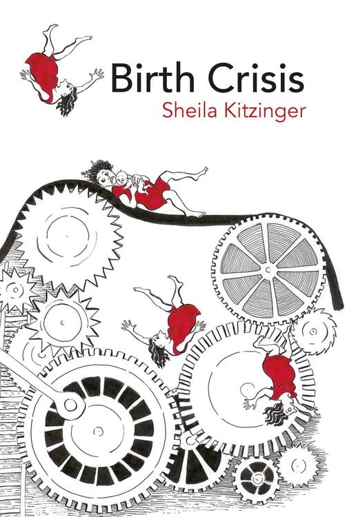 Produktbild: Birth Crisis