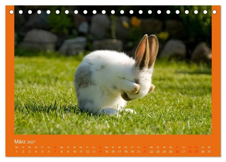 Produktbild: Tierkinder (Tischkalender 2027 DIN A5 quer), CALVENDO Monatskalender