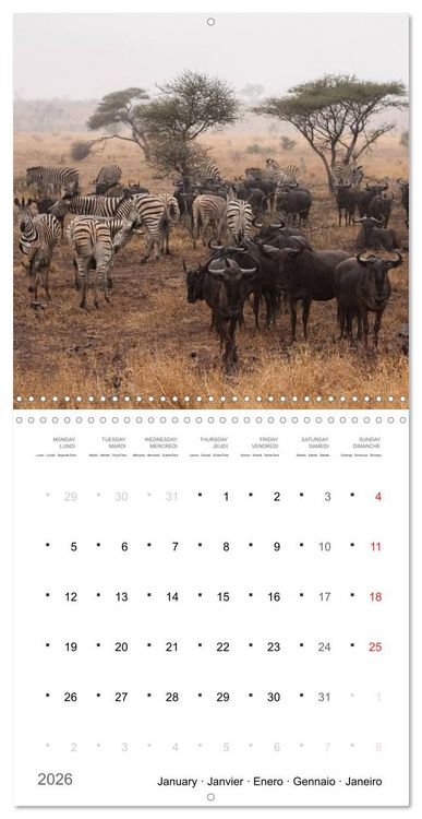 Produktbild: Adventure South Africa 2026 (Wall Calendar 2026 12 &times; 12 Inch) CALVENDO 12 Month Wall Calendar