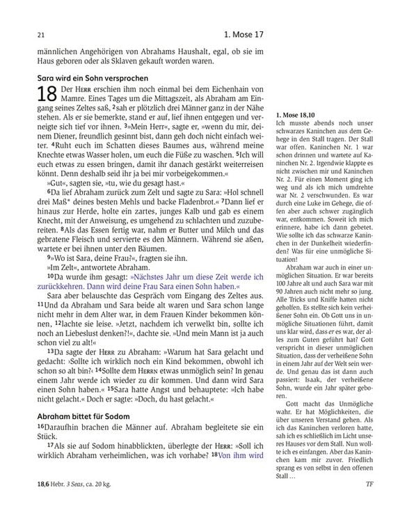Produktbild: Das Buch der Versprechen