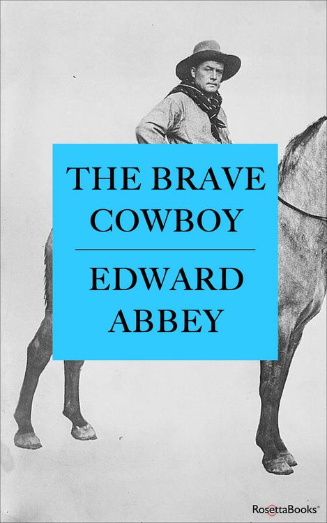 Produktbild: The Brave Cowboy