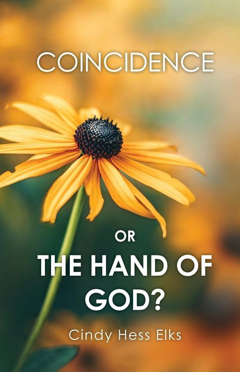Produktbild: Coincidence or the Hand of God?